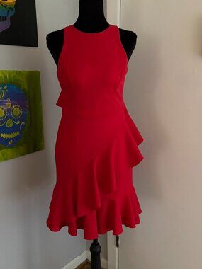 Giani Bini "Michele" A Walk In The Park Ruffle Dress